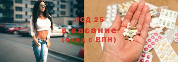 спайс Аркадак
