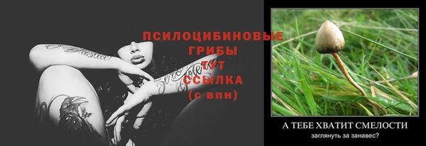 спайс Аркадак
