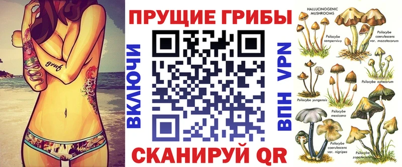 цена   Артёмовский  Галлюциногенные грибы Cubensis 
