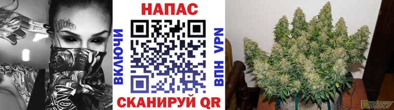 МАРИХУАНА индика  где найти наркотики  mega как войти  Артёмовский 